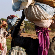 Grantmaking Human Rights & International Justice